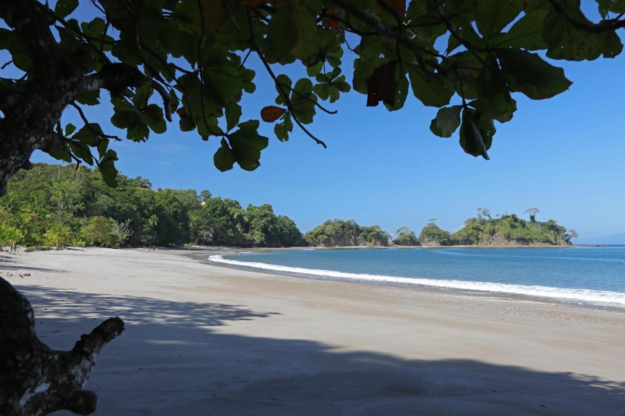 Hotel Punta Leona Jaco Exterior photo